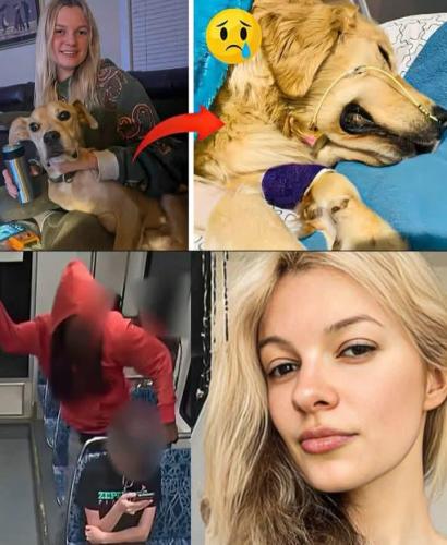 bd09dec7-3f9b-4d03-a556-14c120773d31