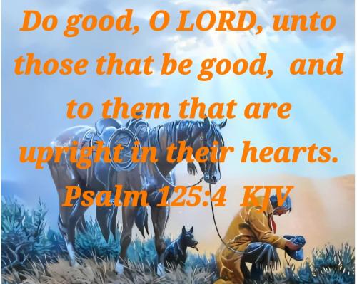 7ac76d65-2e49-4d92-8e9e-078a6afaca97