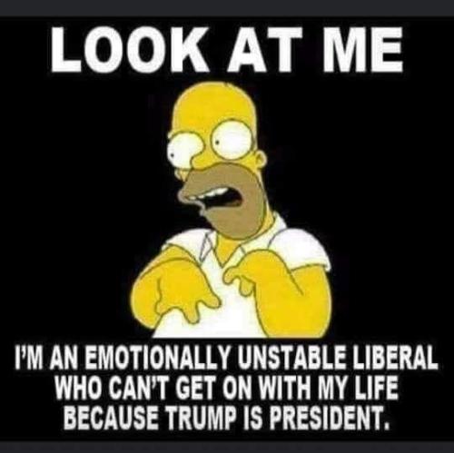 IMG_20251015_081212_530