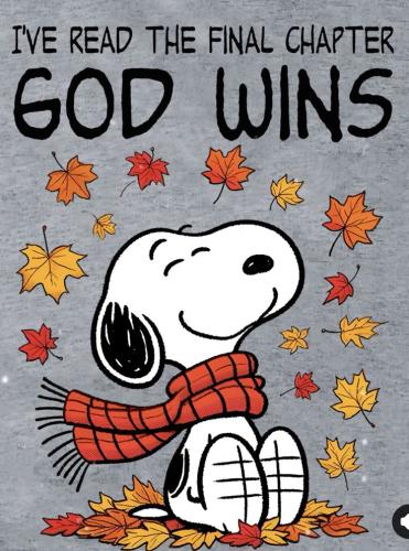 d44a0c09cedb0e23eede093b7f9d5c03