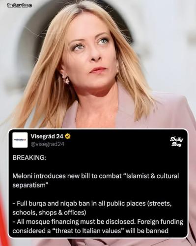 f9a0dce7f91435d3357e9ada15081aec_768x0