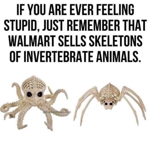 8ed68a1c-47d3-400c-a444-66aac0e5e55b