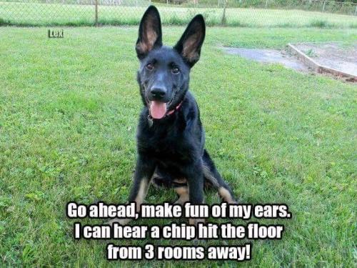 52e826a9d0d476048a68b3c2517a277b