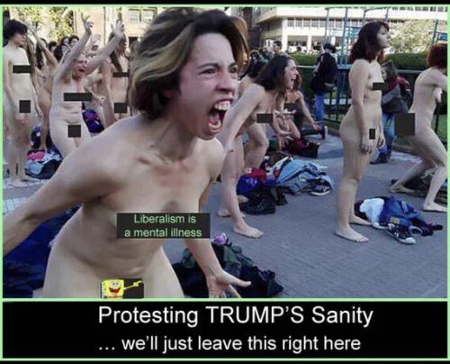 protesting-trump-sanity