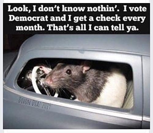 E08C84E5-2D0C-4DA4-BDB4-FE26093AE0FD-21960-000002817CD98D62