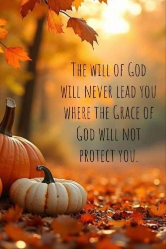 IMG_20251008_123905_634