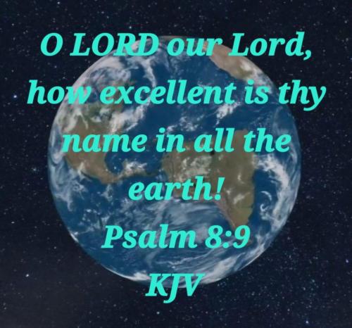 94ecf458-59c4-4c5a-b646-a6d81faacee1