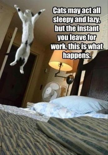 5c4a9f83b6aa56dfb1c0ecace4ab3a9e