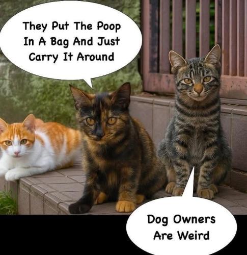 c33a8b44e53c85cc802daab4ace4dae6