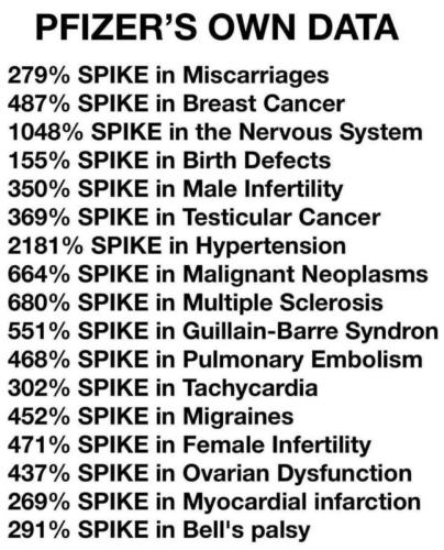 IMG_20251012_090513_754