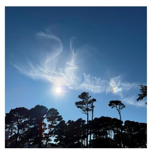 bf40a751-7196-44df-abeb-fc36c2b47805