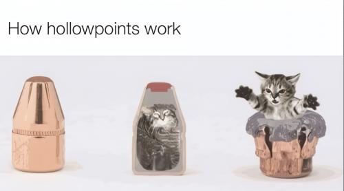 Low-569079591_24711365055152047_6346724055063937182_n-wonder-1.5x