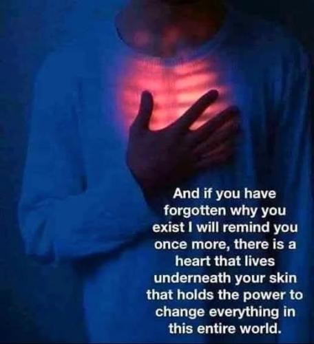 ,          ,  0424775766_746362