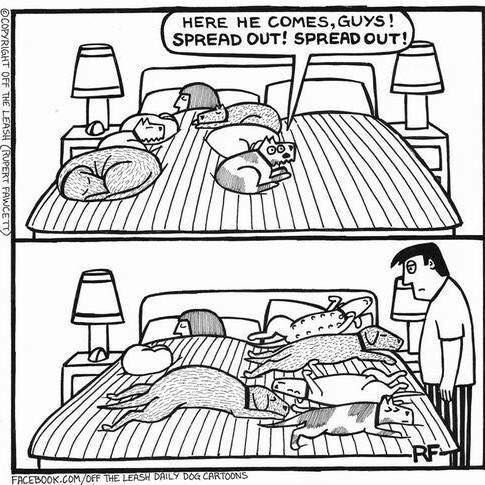 b9eaf80f14c45e2092b515d69009c86b