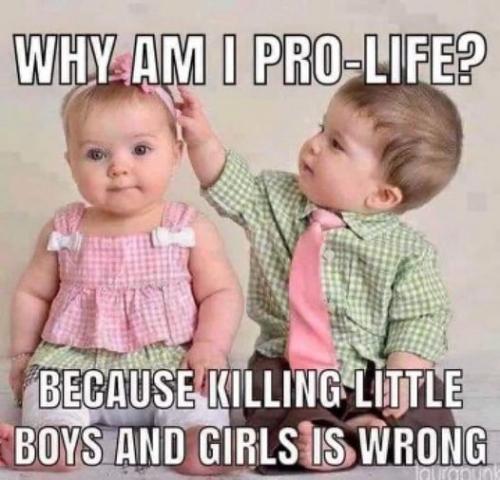 pro life 20