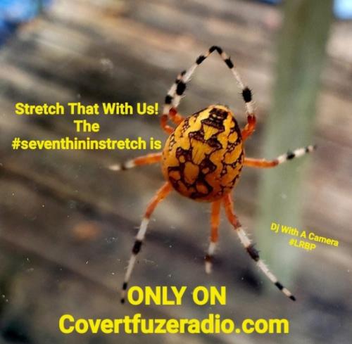 Screenshot_20251013_145019_Gallery