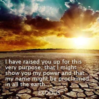 FB_IMG_1567738134212