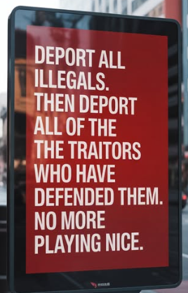 Deport illegals and more