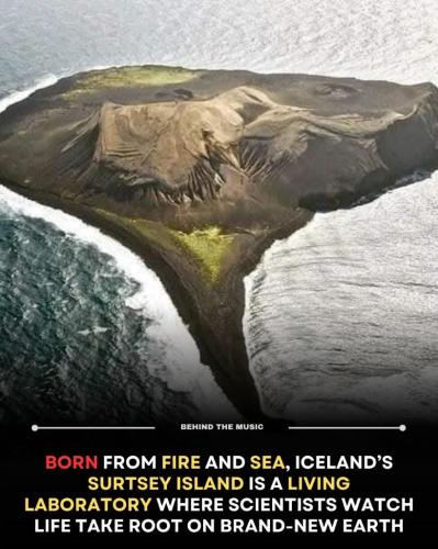 a6739362-d464-4dba-8db4-e64e92ed54f7