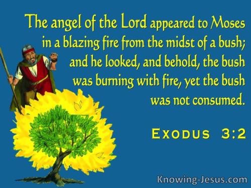 Exodus+3-2+The+Angel+Of+The+Lord+Appeard+To+Moses+In+The+Burning+Bush+blue-3205949074