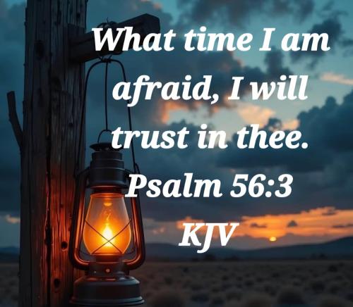 56781e2e-2d7a-4038-8d10-ffb4147450ab