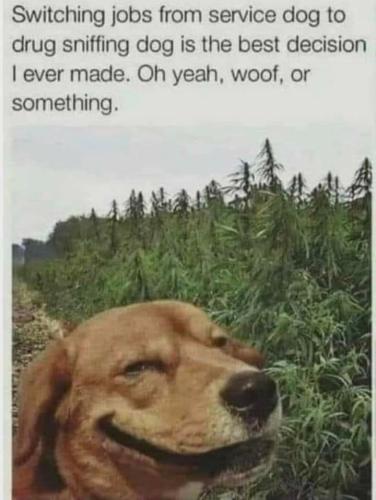 IMG_20251025_163508_209