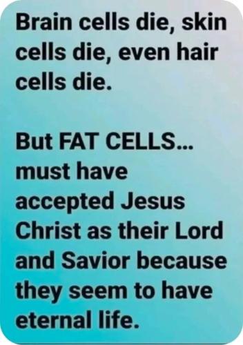 fat-cells-eternal-life