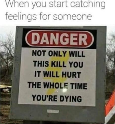 fe57ae1e-78eb-4f71-b2de-3419f69f3d49