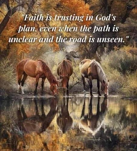 41b111ad8866a8493bd2a8d70c2267aa