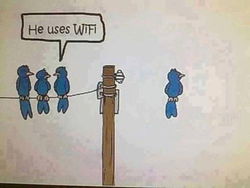 FB_IMG_1760795616218