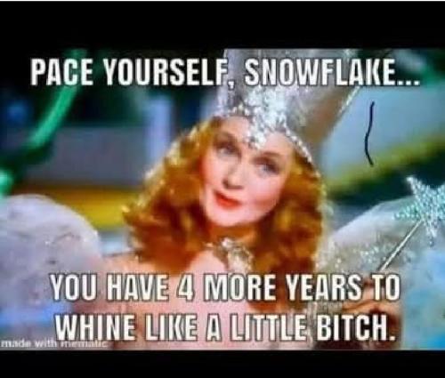 bc09b15b-66ef-47a9-ba77-42a01fca455c