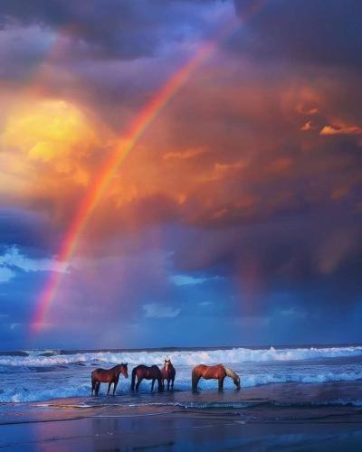 558507418_1358723825906403_4650582741759320626_n