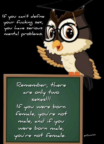 0a8b58ea-286a-4116-a8f4-a4b45ace770f