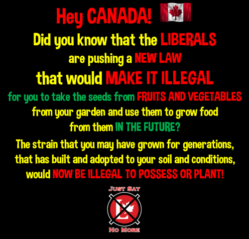 fruits and vegetables