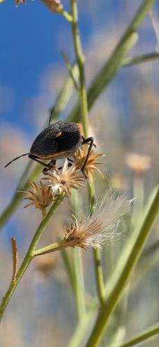 FB_IMG_1761356115917