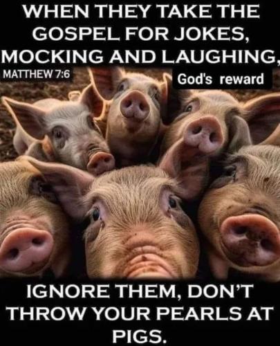 a26433c6847db610e92fab046c0e7673