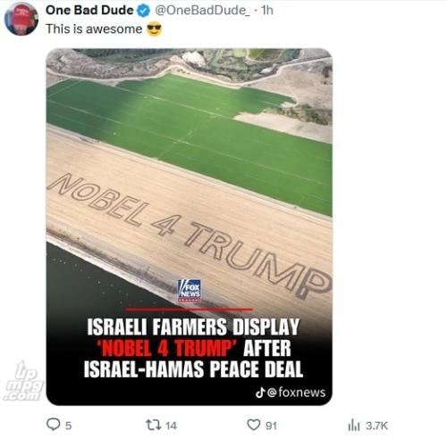 main-qimg-2c8779ea3c3f201c3e8e2537a28e27db