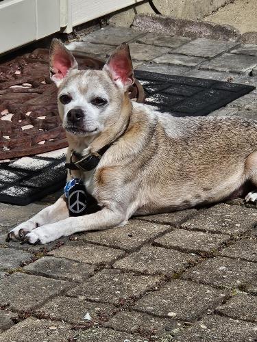 ca2aae43-c012-4c9d-b42d-c14dbc11a16a