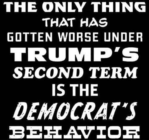 worse-under-trump-democrats