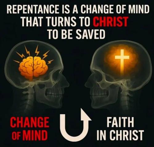 IMG_20251030_185522_301