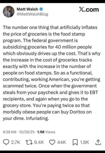 FoodStampScam