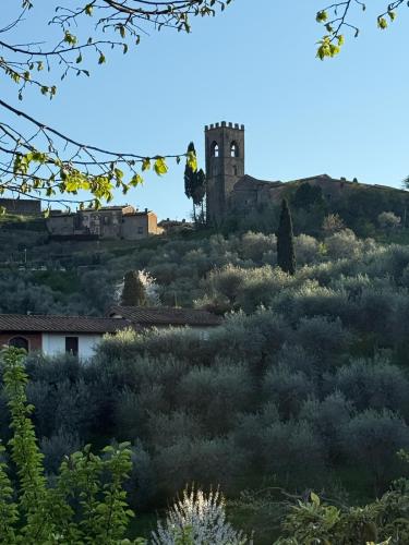 905b63a0-1827-412e-9a70-a8c1139560c0