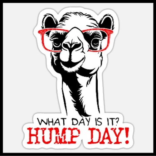 1-Hump Day