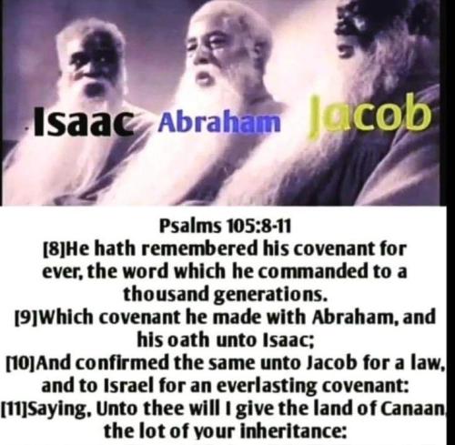 IMG_20251002_160536_891