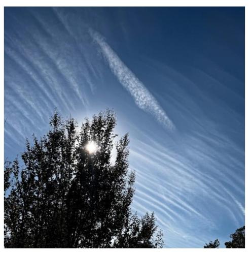 6facd1ba-392a-4244-830e-503b177b10a0