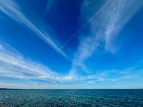 cf63bd02-8289-47db-9792-377bbc66967f