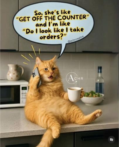 7cbbfb474e5213f780ae0ab6fd9fe6dc