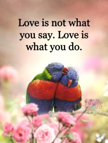 FB_IMG_1602767715235