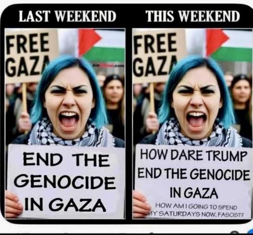 IMG_20251016_081234_662