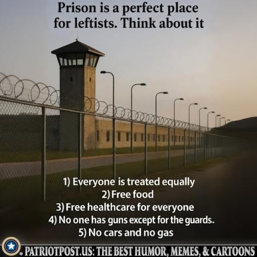 01K7HXWP9PTX5Z5DNE3PJPX8EC